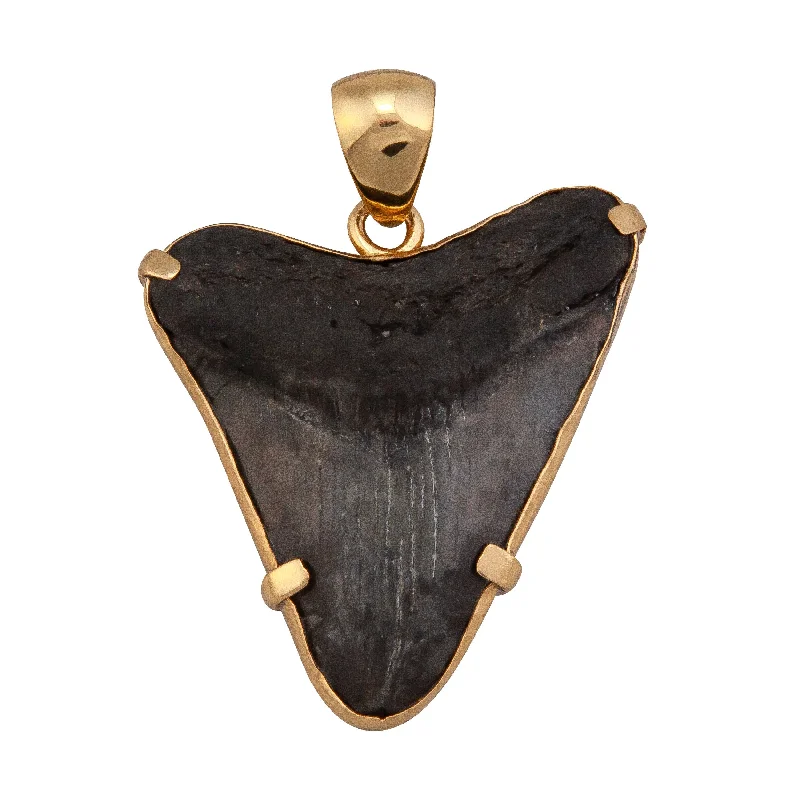 Best necklaces and pendants with intertwined designs for a symbol of unity-Alchemia Fossilized Shark Tooth Prong Set Pendant